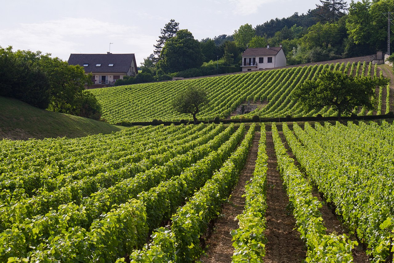 LL-FR-Volnay-Mark-Gorzynski-CC-BY-SA-4.0-Wikimedia-Commons