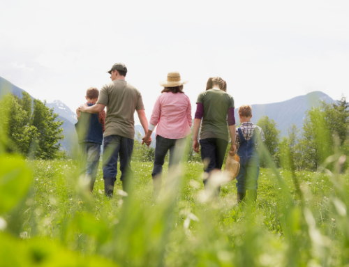 ARTICLE | The influence of EU policies in national rural digitalisation