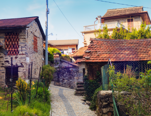 NEWS | Living Museums, a “smart solution” to avoid the closing down of rural museums