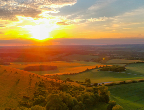 NEWS | The Rural Observatory, a tool to facilitate the rural proofing